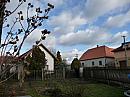 Třibřichy